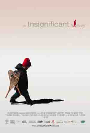 An Insignificant Harvey (2011) An Insignificant Harvey (2011)