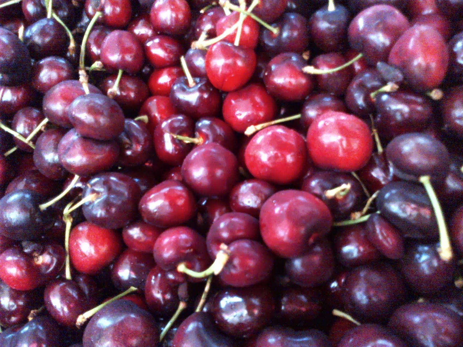 the produce savant red vs white