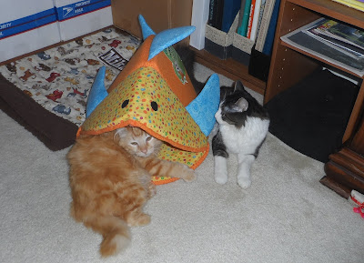 Anakin & Mika Playing in the Funky Fish Bed