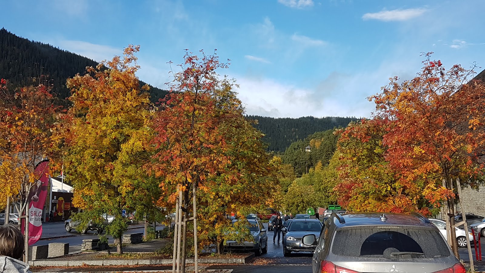 Fagernes