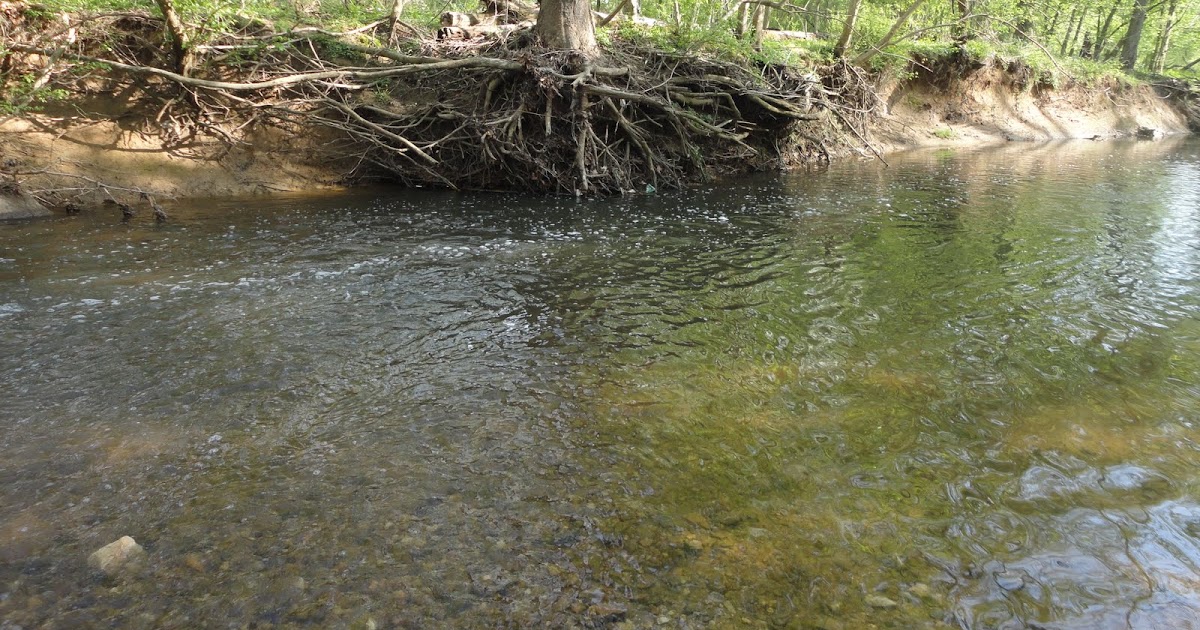 The Slippery Trout A Fly Fishing Blog Trout in the Old Dominion Fly