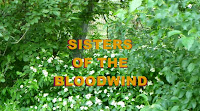 Bk. 1- SISTERS OF THE BLOODWIND site