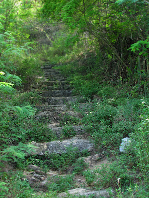 Margarita Matasiete subida