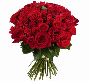 Epingle Par Nathalie Barre Sur Photos Avec Images Roses Rouges