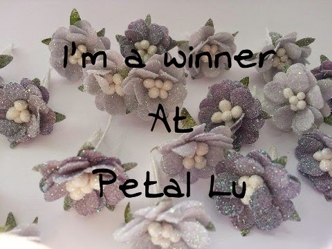 Petal Lu Winner
