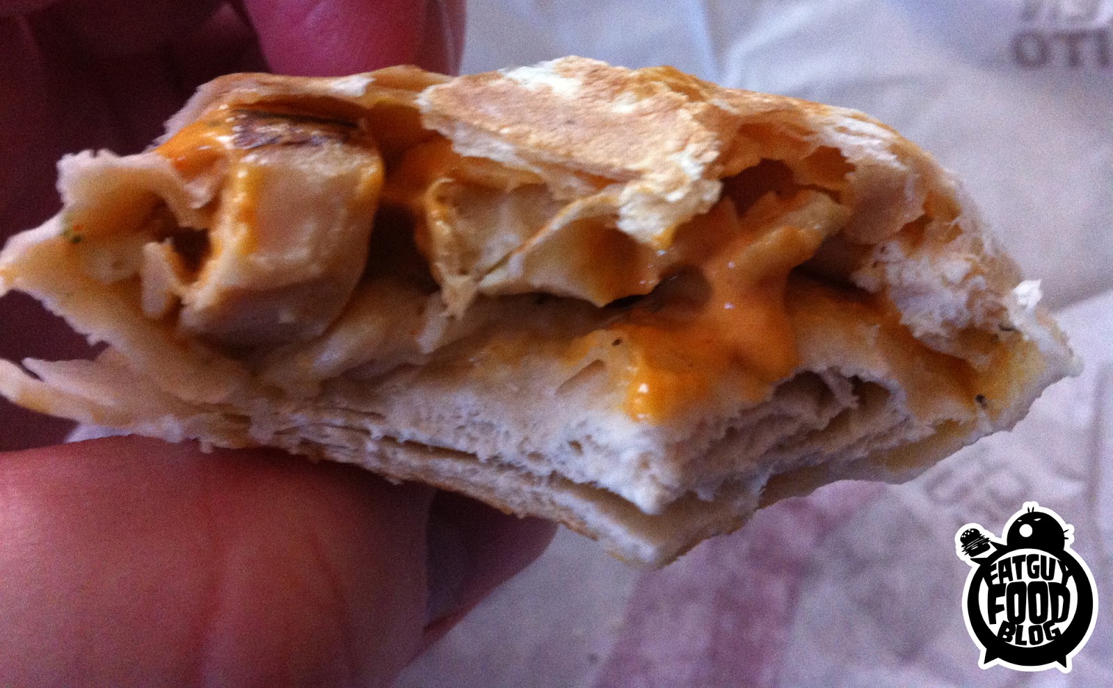 FATGUYFOODBLOG Taco Bell's Loaded Grillers