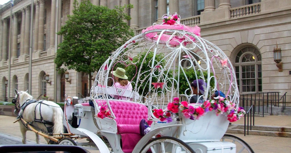 Cattastroficka New Orleans May 2014