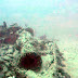 Underwater relics of Submarine from World War I go on display