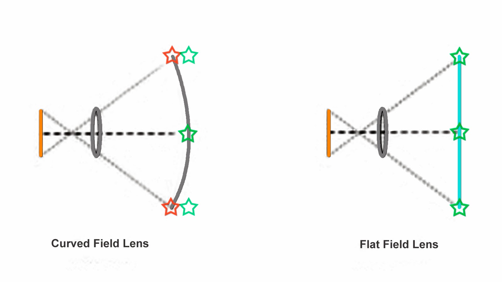 Complete Guide to Choosing Macro Lenses Technology Share