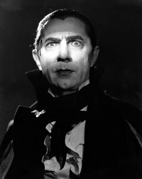 dracula essays sexuality dracula essays sexuality