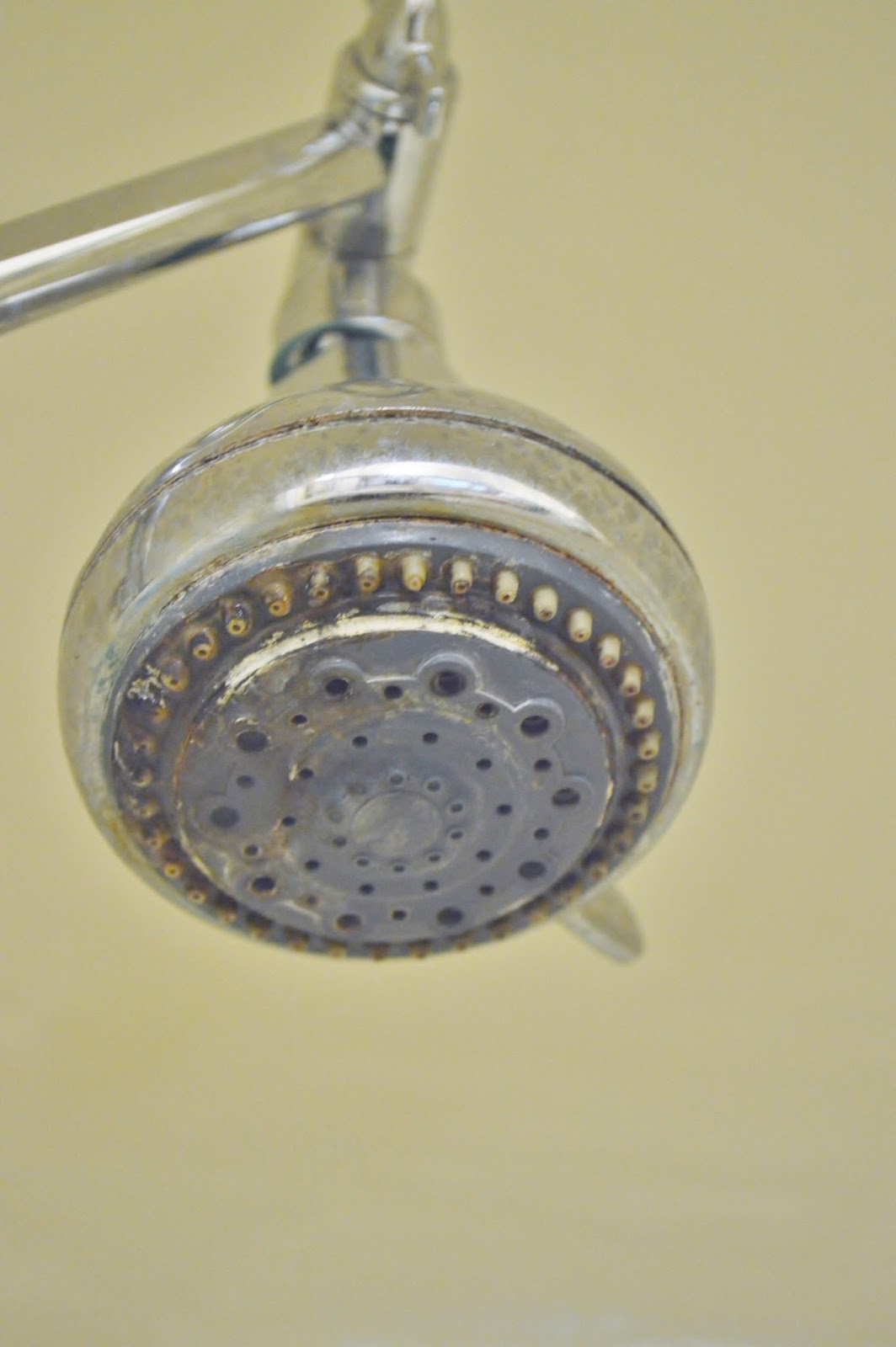 New Life Overnight How to clean a shower head with almost no effort