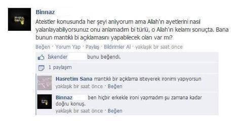 karahindiba tohumu blogger