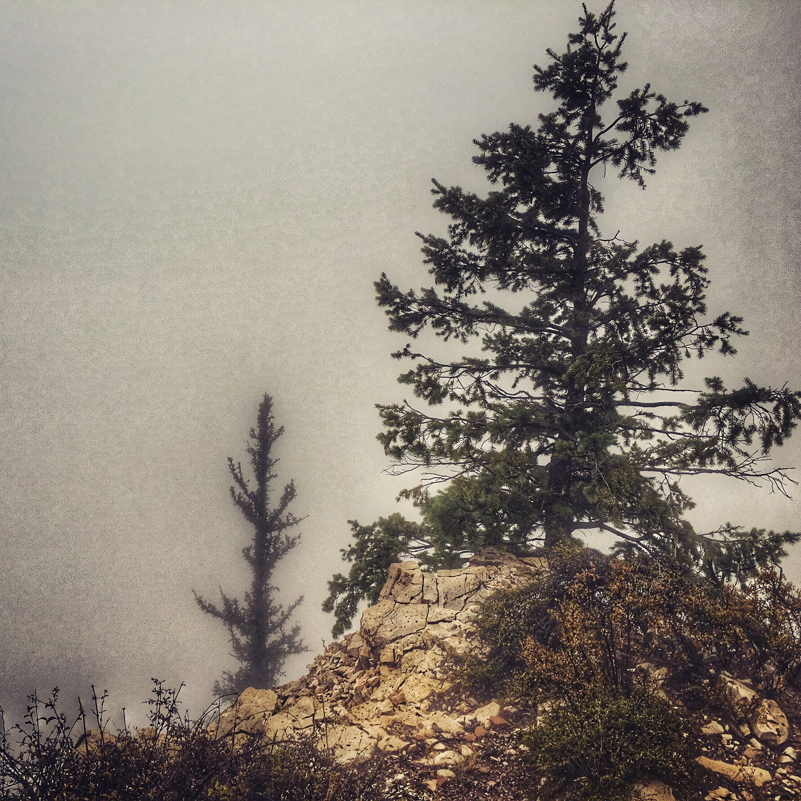 Macmillan Education Japan