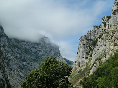 Picos de Europa