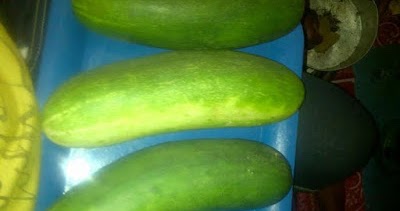 Hottest Cucumber Inside Movies