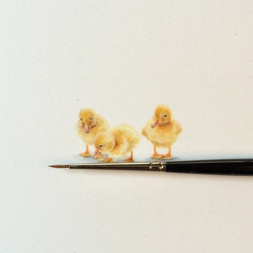 09-Chicks-Ducklings-Karen-Libecap-Star-Wars-&-other-Miniature-Paintings-and-drawings-www-designstack-co
