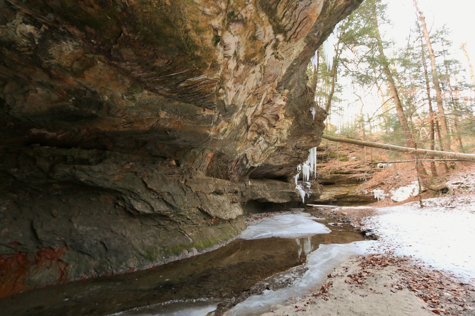 Nomadic Newfies Turkey Run State Park on Ice
