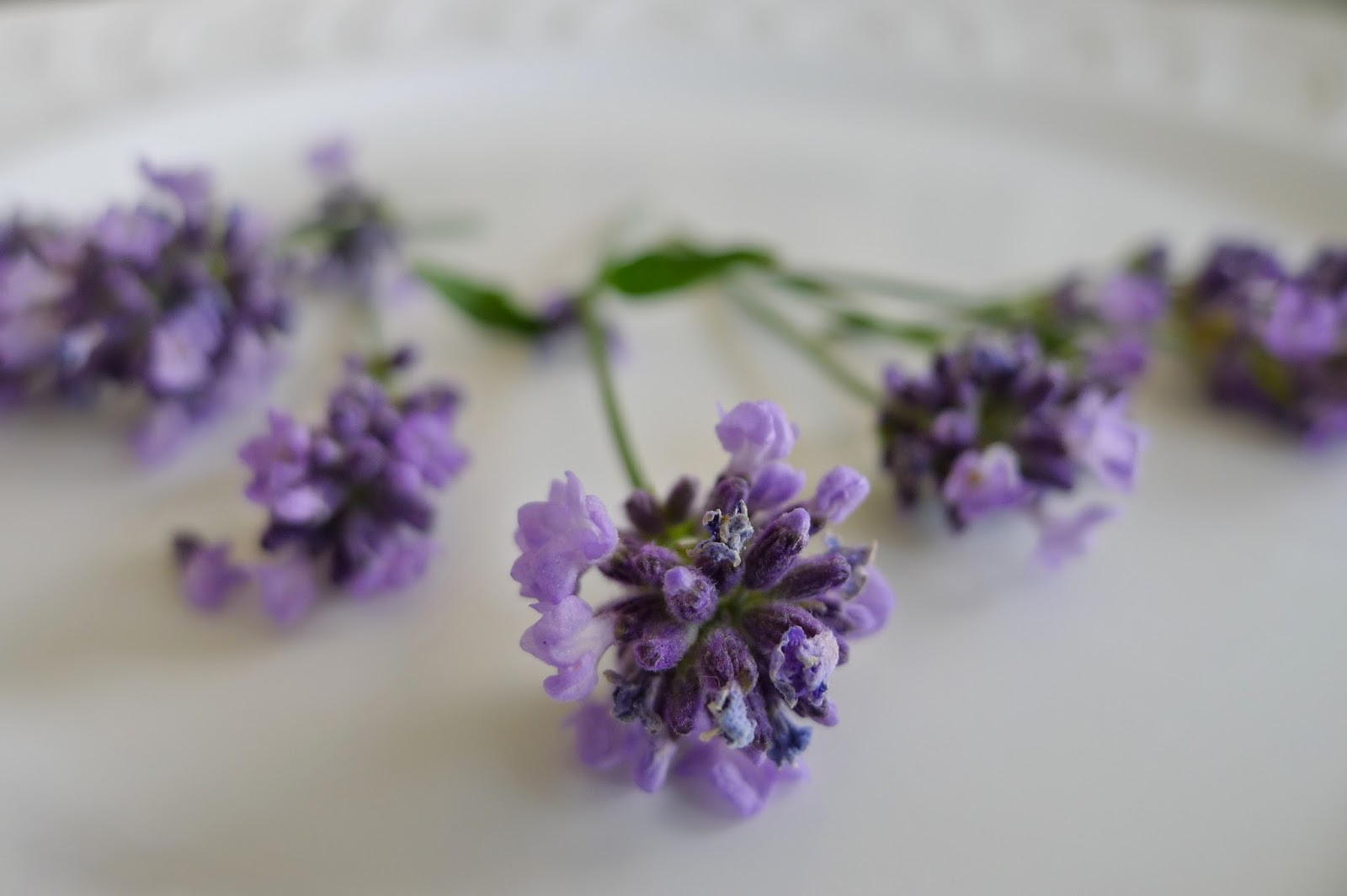 Less Noise, More Green Eating flowers from the edible garden lavender