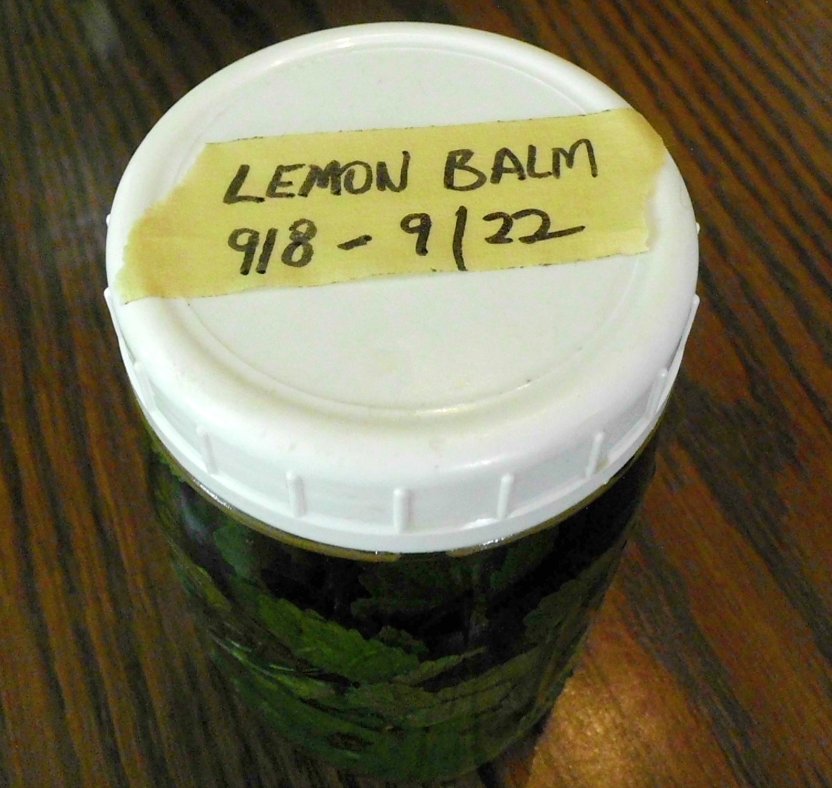 Livin' In The Green Making a Double Lemon Balm Tincture