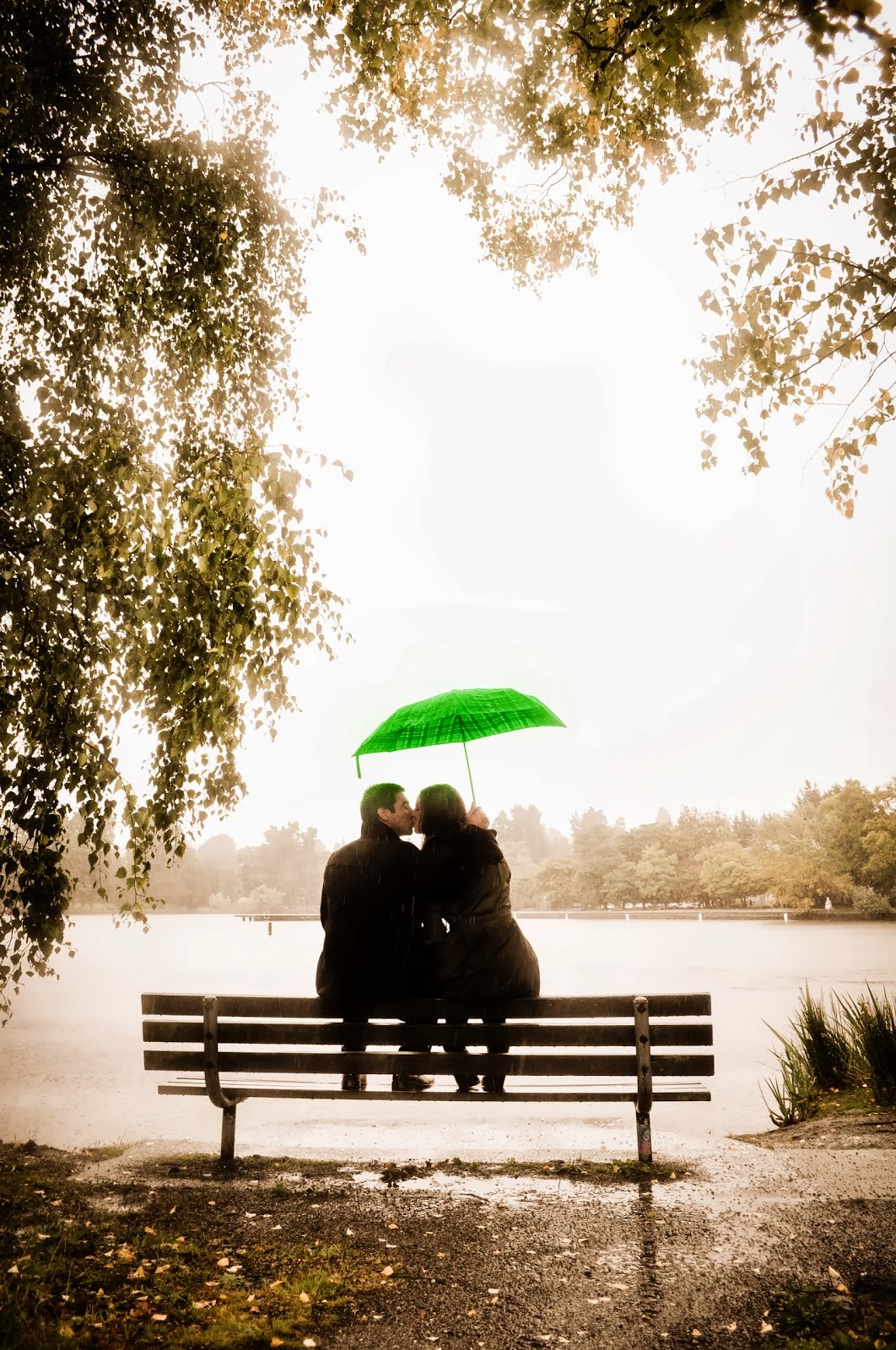 Love in the Rain Posted by Patricia Stimac, Seattle Wedding Officiant Love under an umbrella. Posted by Patricia Stimac.
