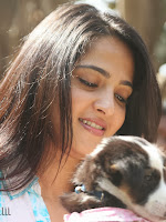 Anushka with Puppy at Blue Cross Pet Carnival Press meet-cover-photo