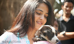 Anushka with Puppy at Blue Cross Pet Carnival Press meet-thumbnail