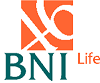 PT BNI Life Insurance Lowongan Kerja BNI Life Insurance