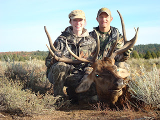 Bull Elk