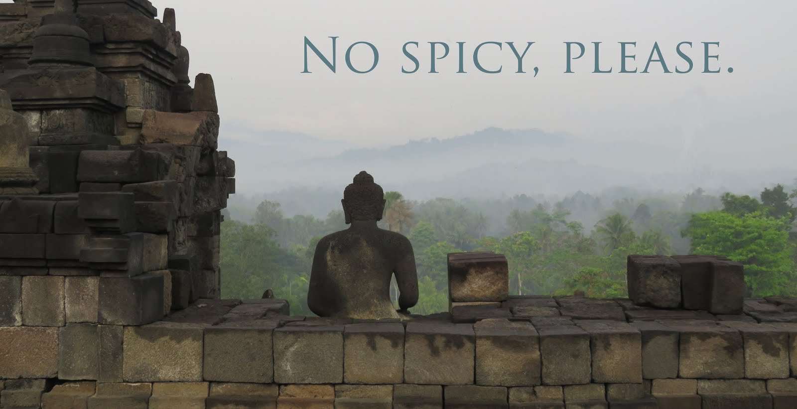 No spicy, please