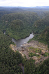 Batang Toru Forest for Sipansihaporas energy power plant
