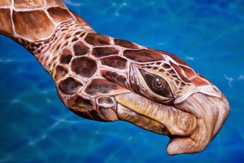 11-Turtle-Caretta-Guido-Daniele-Painting-Animals-on-Hands-www-designstack-co