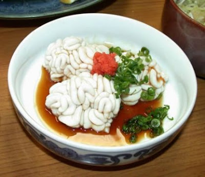 Sperma Ikan Cod Sperma Ikan Cod
