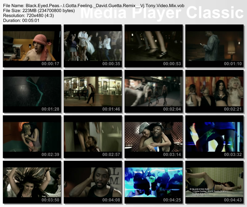The Black Eyed Peas I Gotta Feeling