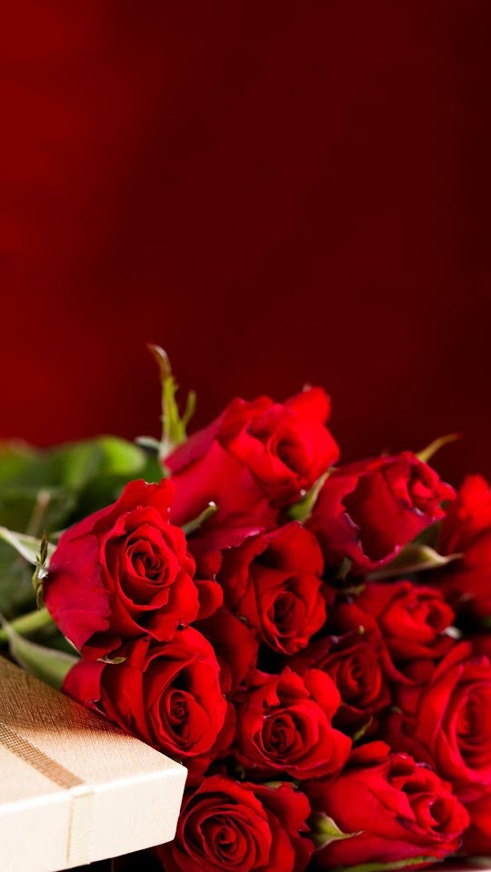 Red Roses Bouquet Valentines Day Gift  Galaxy Note HD Wallpaper