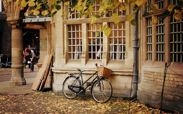 Bicycle Basket Autumn Leaves