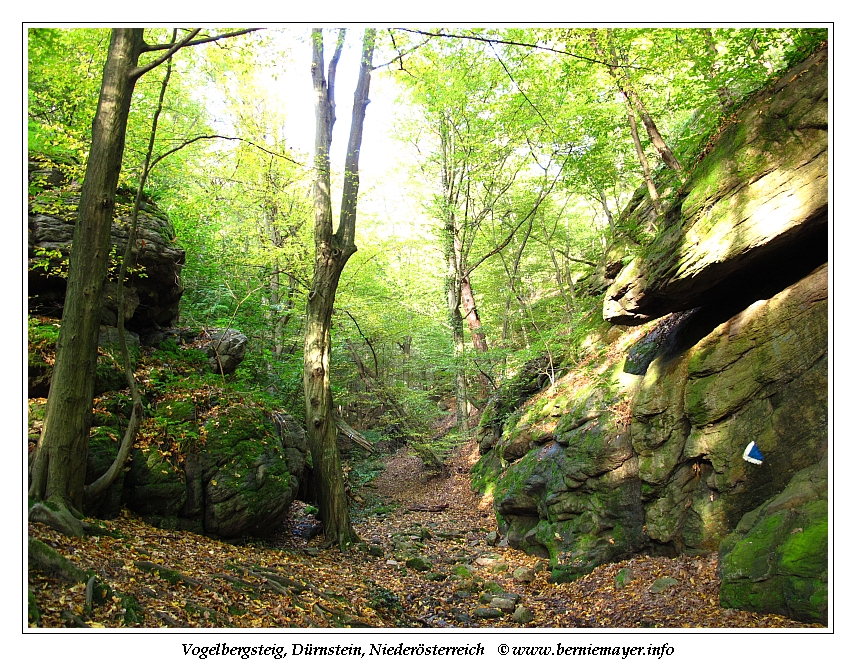 Klick Euro Tours Hugo Pfeifer