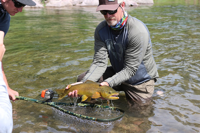 Flyfishing%2Bthe%2BGreen%2BRiver%2Bin%2BJune%2Bwith%2BJay%2BScott%2BOutdoors%2B7.JPG