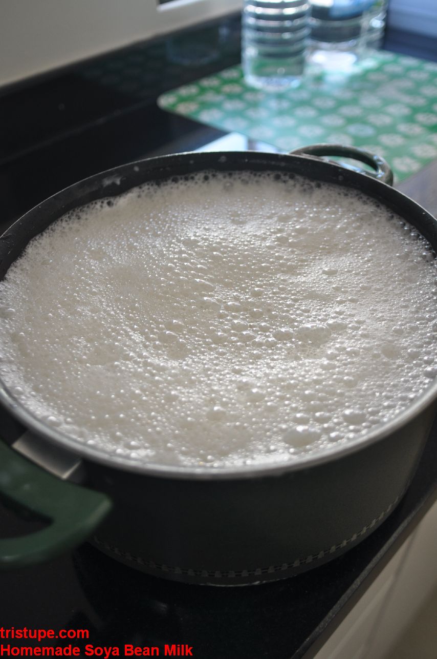 Homemade Soya Bean Milk