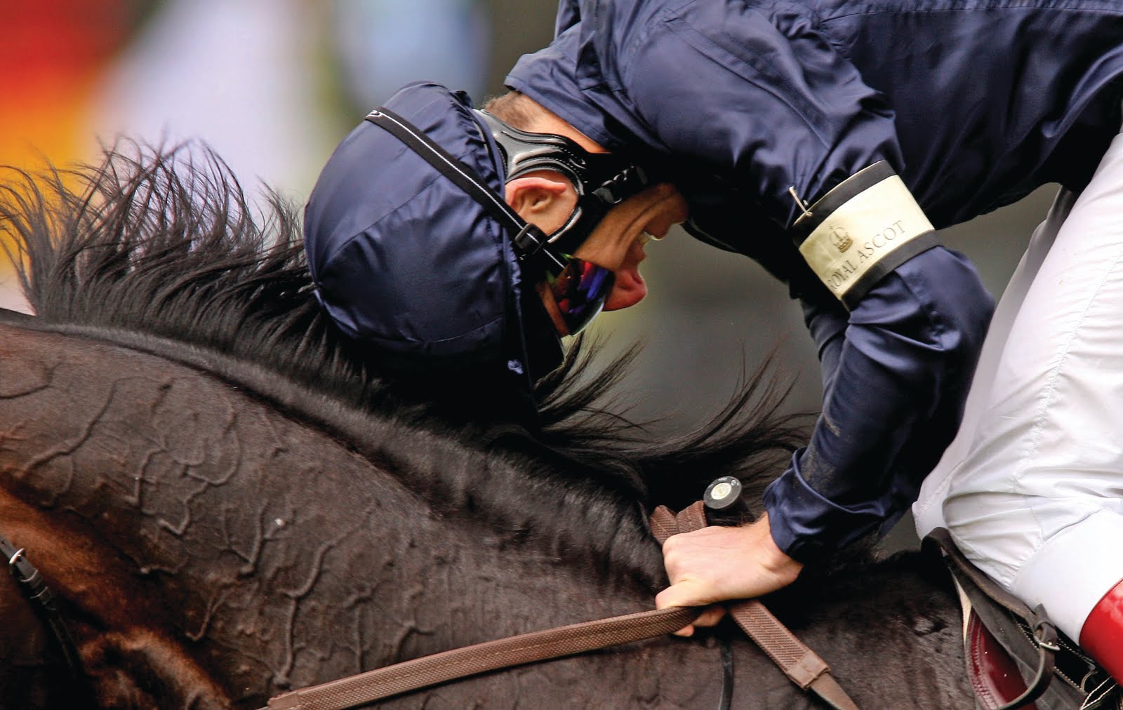 Racing_Yeats.jpg