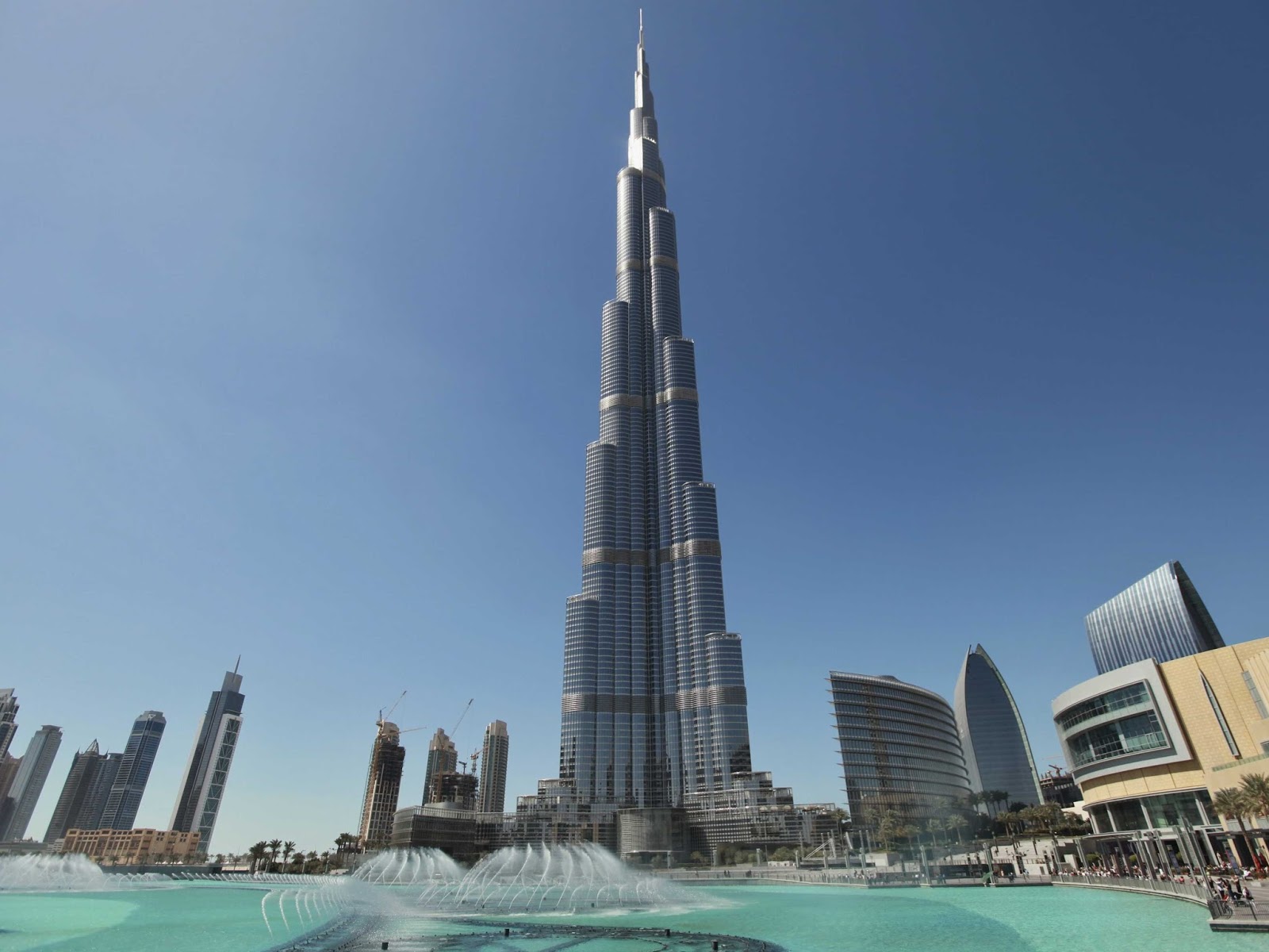 Ngàn hoa khoe sắc giữa sa mạc 9 Dubai