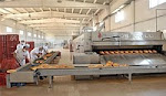 Mersin  Ekmek Fabrikası İlaçlama 05336642759