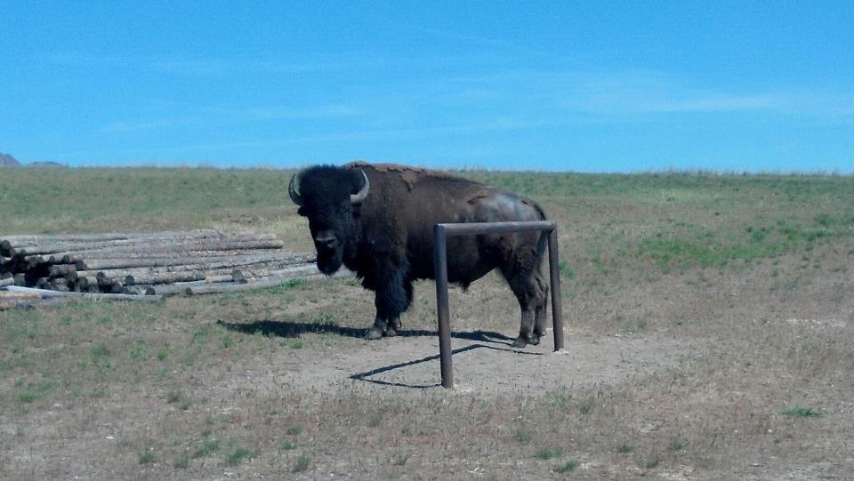Slc Weather Antelope Island Slc Weather Antelope Island