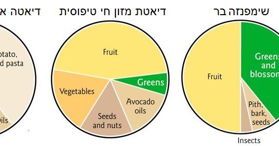 reflecting on school management master classes in