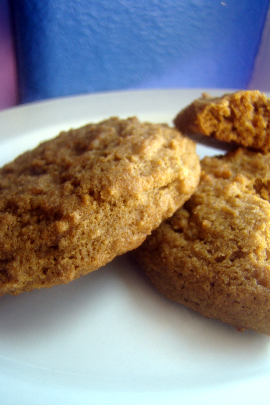 Nourished and Nurtured Soft Molasses Cookies (glutenfree)