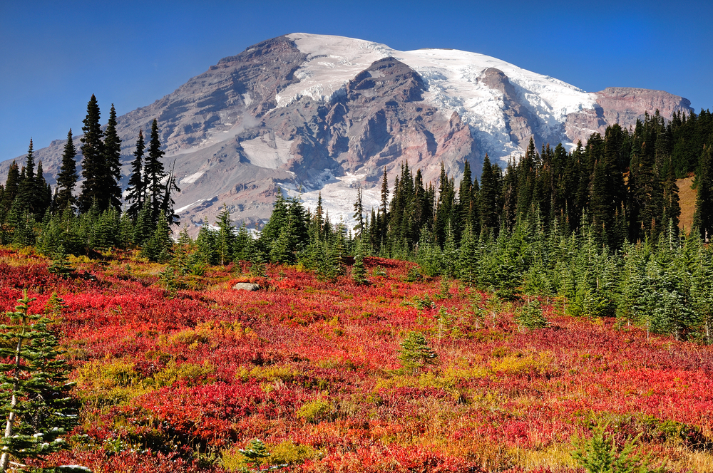 Visit Rainier Fall Color Displays at Mt. Rainier