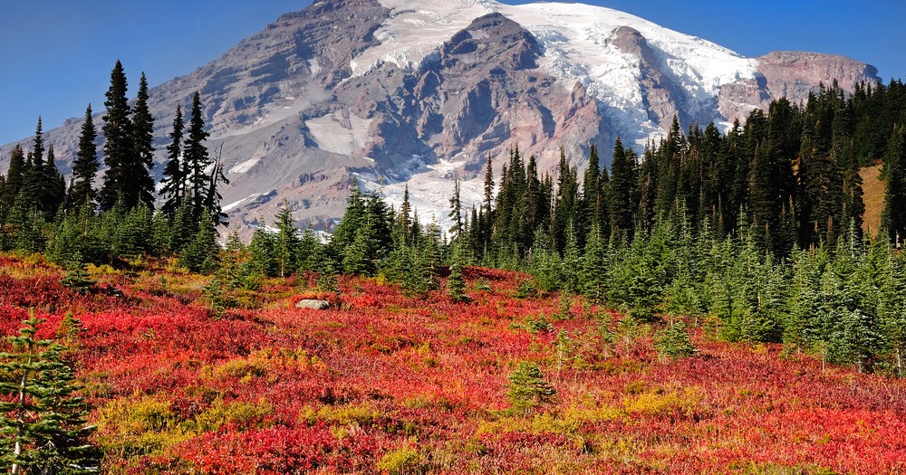 Visit Rainier Fall Color Displays at Mt. Rainier