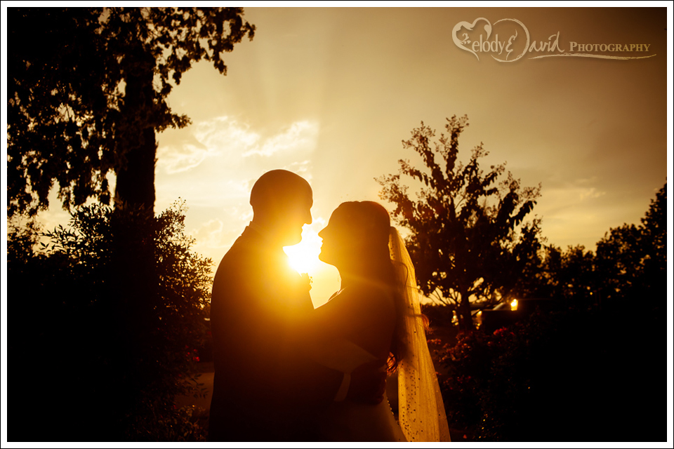 Silhouette of bride and groom bride and groom shot against the setting sun.