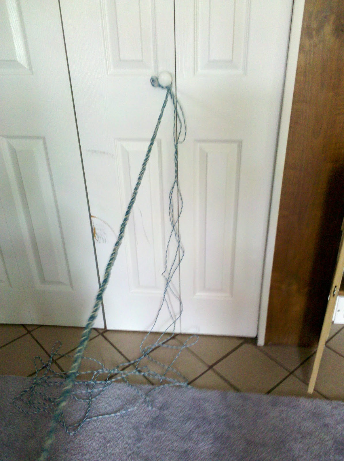 Uses for Rope Suggestions DayZ Forums