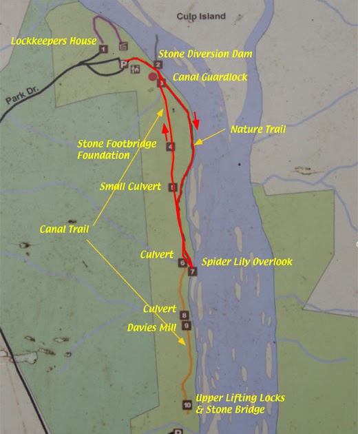 Anybody Seen My Focus? Landsford Canal State Park, South Carolina