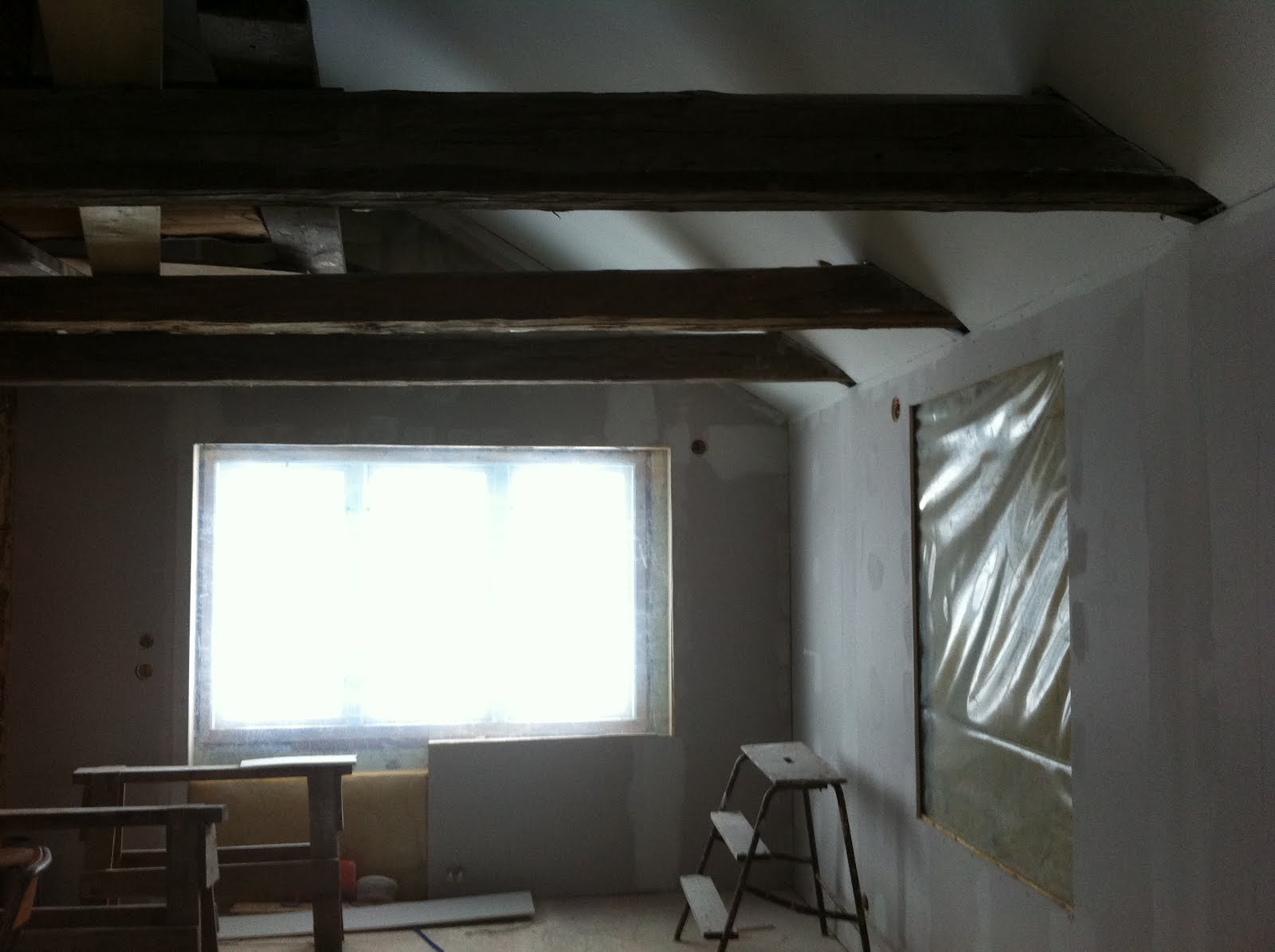 Lisaevelinas: januari 2012